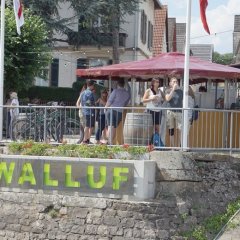 Auch am Wallufer Rheinufer wurde gefeiert, wie zu sehen ist.