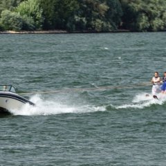 Vorführungen auf dem Rhein waren ein Teil des Festprogramms am Nachmittag.